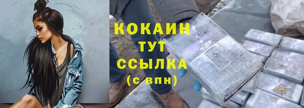 шишки Арсеньев