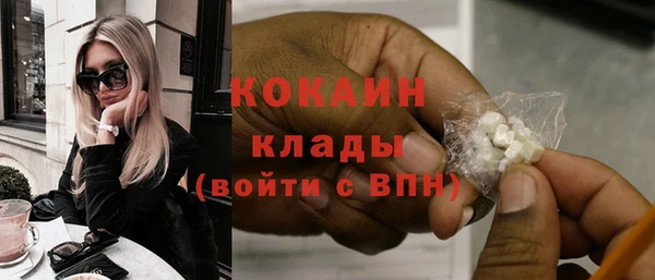 шишки Арсеньев