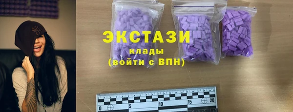 шишки Арсеньев