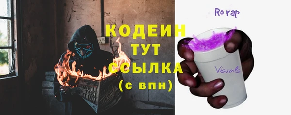 шишки Арсеньев