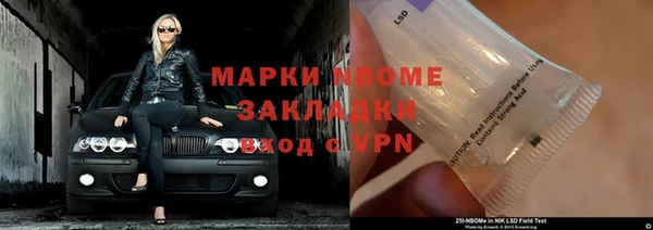 шишки Арсеньев