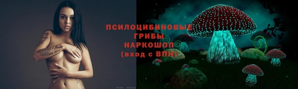 шишки Арсеньев