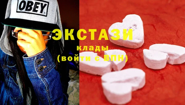 шишки Арсеньев