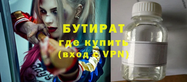 шишки Арсеньев