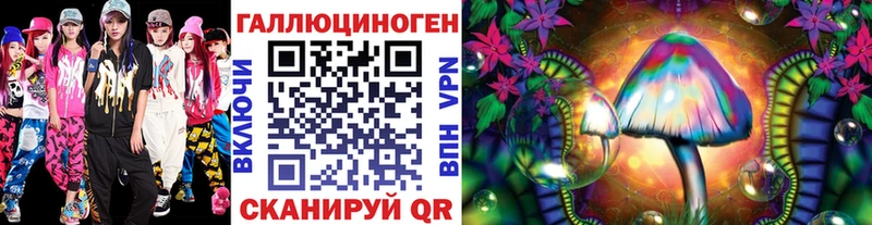 даркнет Telegram  Сельцо  Псилоцибиновые грибы Psilocybine cubensis 
