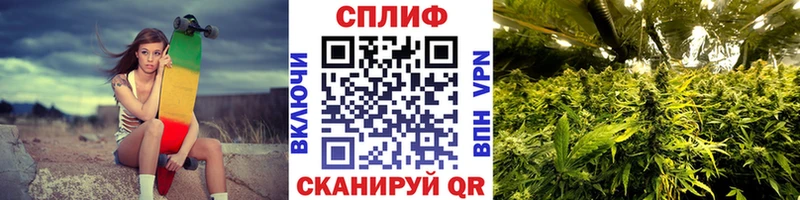 купить  сайты  OMG ссылки  Конопля тримм  Сельцо 